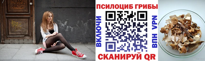 купить наркотики цена  Томмот  Галлюциногенные грибы мухоморы 